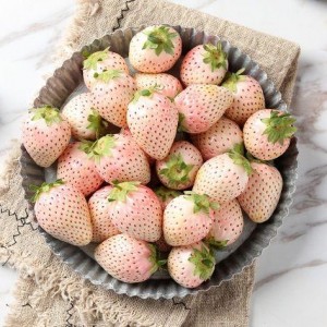 水莓100完全国产免费,国产免费，引领健康生活新潮流